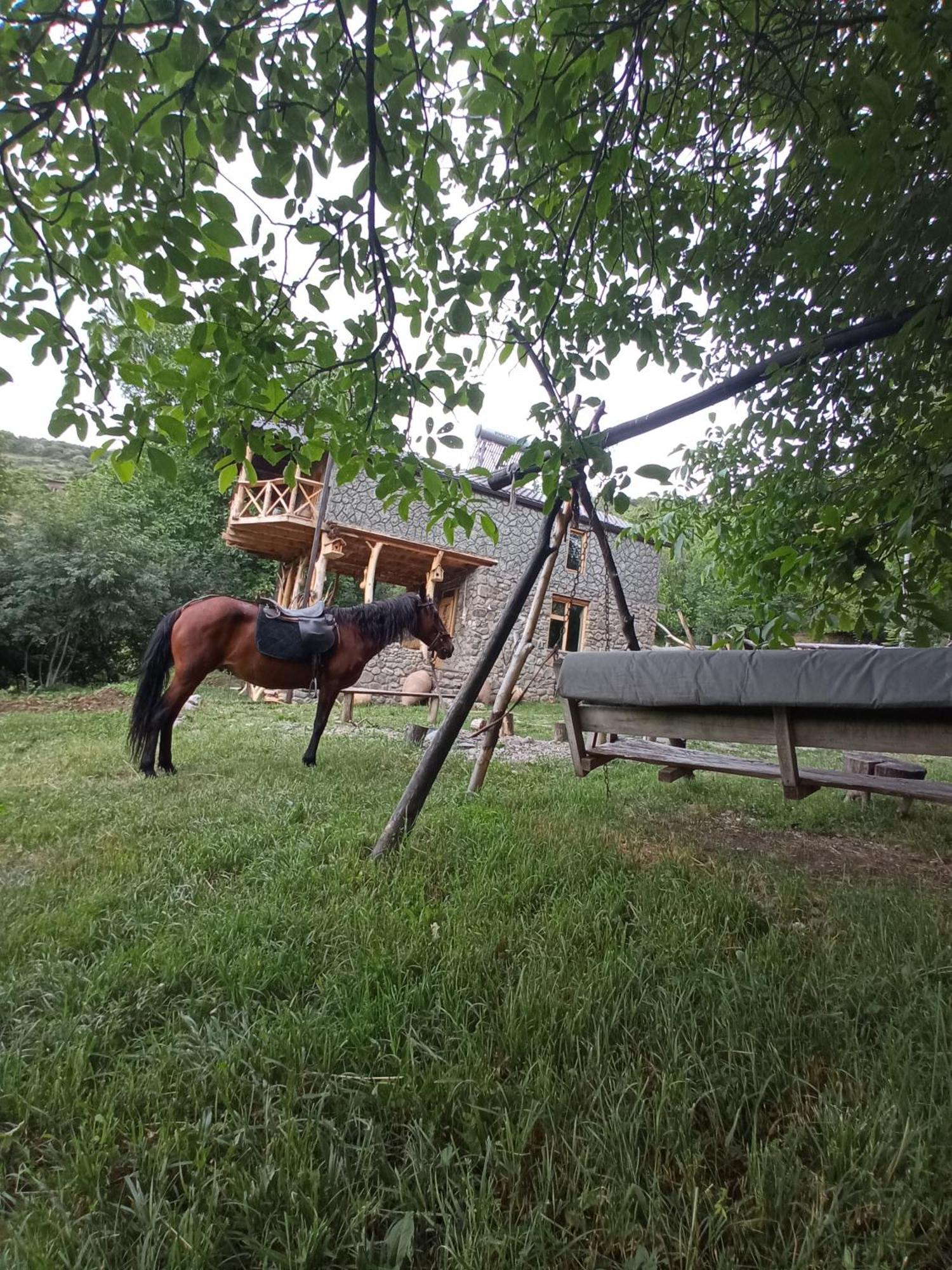 Hors'S Home Bagian luar foto